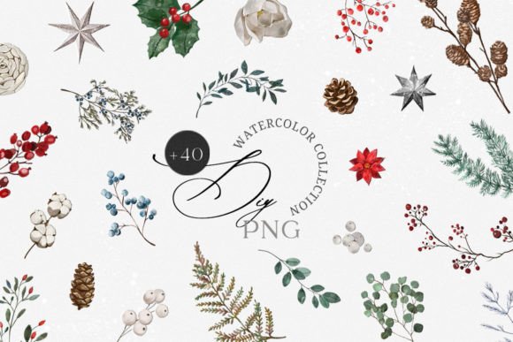 Watercolor Winter Christmas Flower DIY Illustrations Review